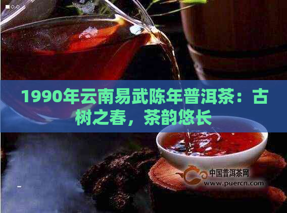 1990年云南易武陈年普洱茶：古树之春，茶韵悠长