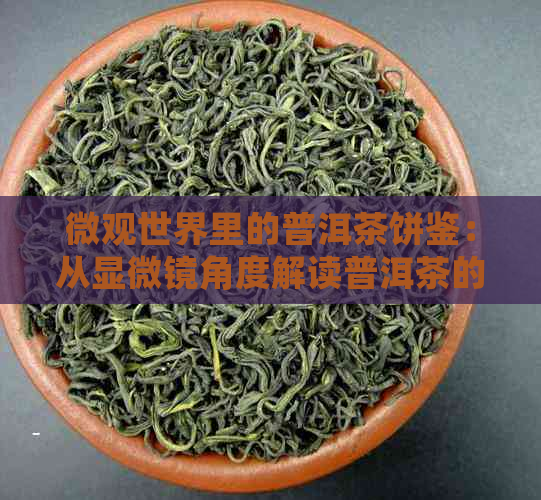 微观世界里的普洱茶饼鉴：从显微镜角度解读普洱茶的独特魅力