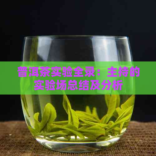 普洱茶实验全录：主持的实验场总结及分析