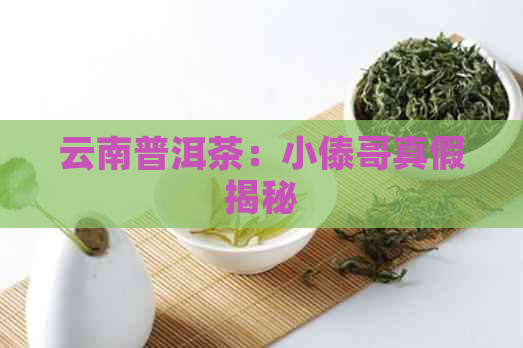 云南普洱茶：小傣哥真假揭秘