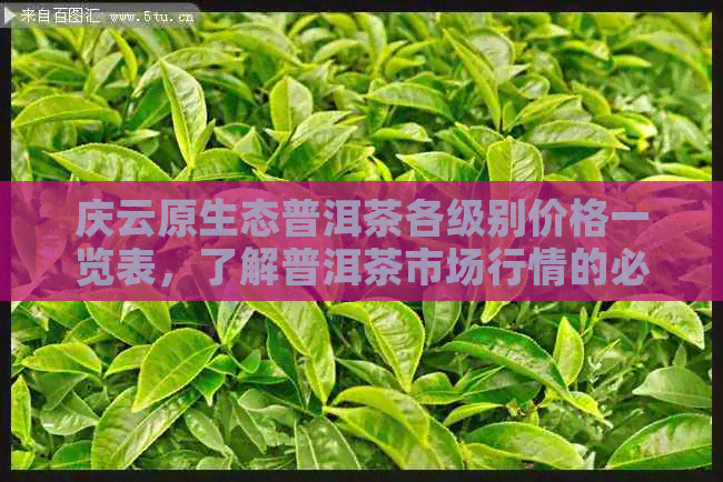 庆云原生态普洱茶各级别价格一览表，了解普洱茶市场行情的必备指南