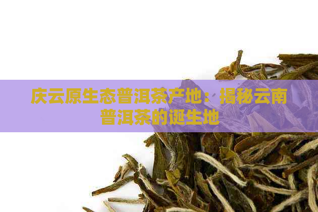 庆云原生态普洱茶产地：揭秘云南普洱茶的诞生地