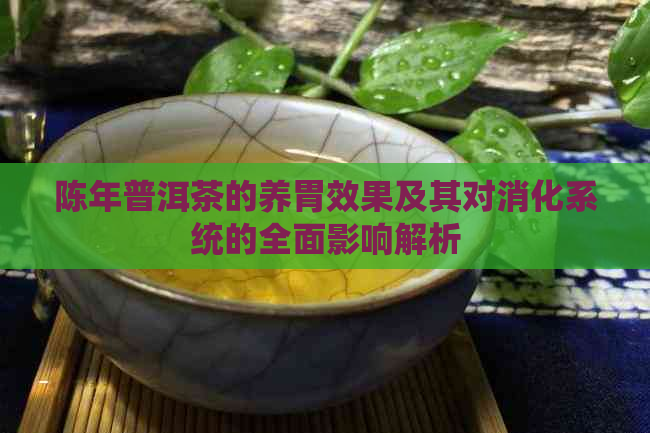 陈年普洱茶的养胃效果及其对消化系统的全面影响解析