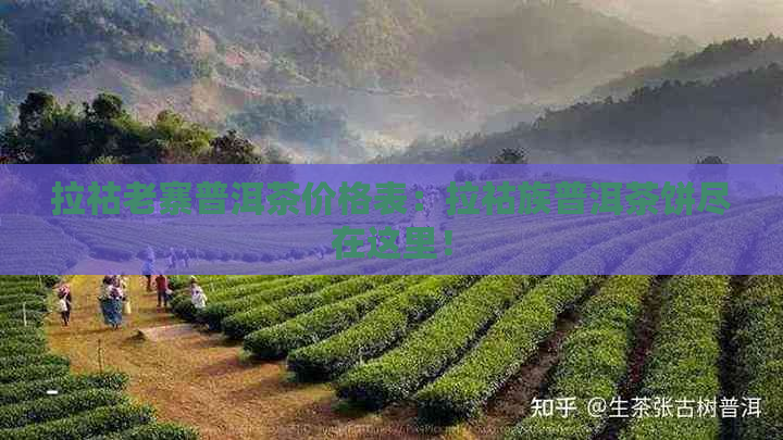 拉祜老寨普洱茶价格表：拉祜族普洱茶饼尽在这里！