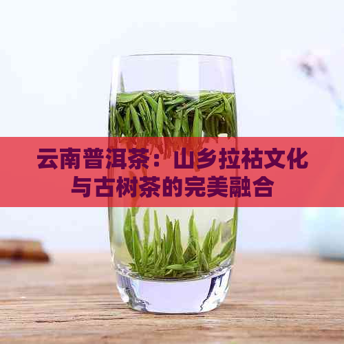 云南普洱茶：山乡拉祜文化与古树茶的完美融合