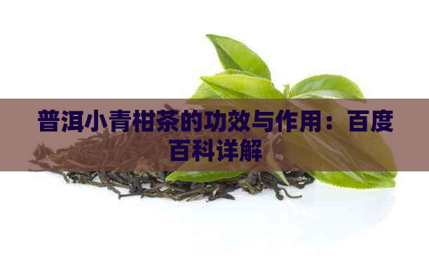 普洱小青柑茶的功效与作用：百度百科详解