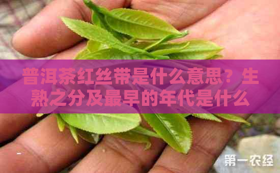 普洱茶红丝带是什么意思？生熟之分及最早的年代是什么？