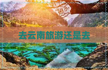 去云南旅游还是去