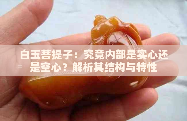 白玉菩提子：究竟内部是实心还是空心？解析其结构与特性