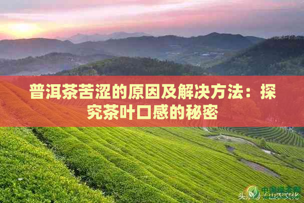 普洱茶苦涩的原因及解决方法：探究茶叶口感的秘密