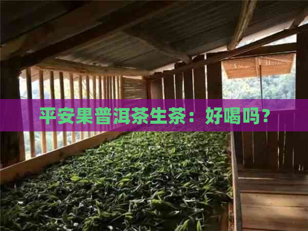 平安果普洱茶生茶：好喝吗？