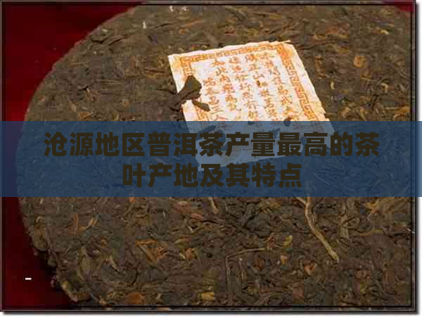 沧源地区普洱茶产量更高的茶叶产地及其特点