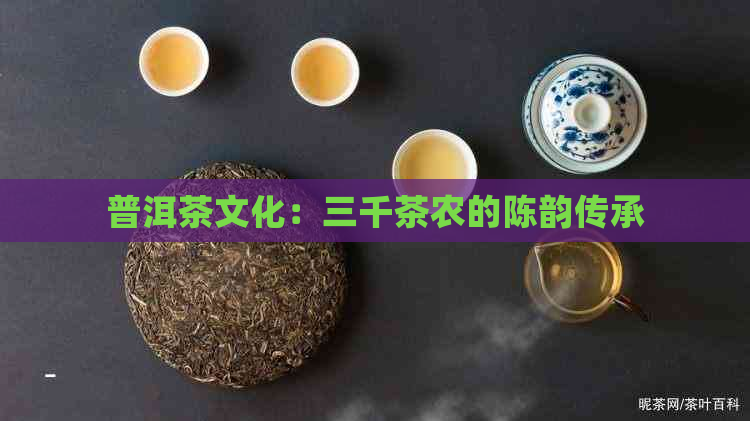 普洱茶文化：三千茶农的陈韵传承