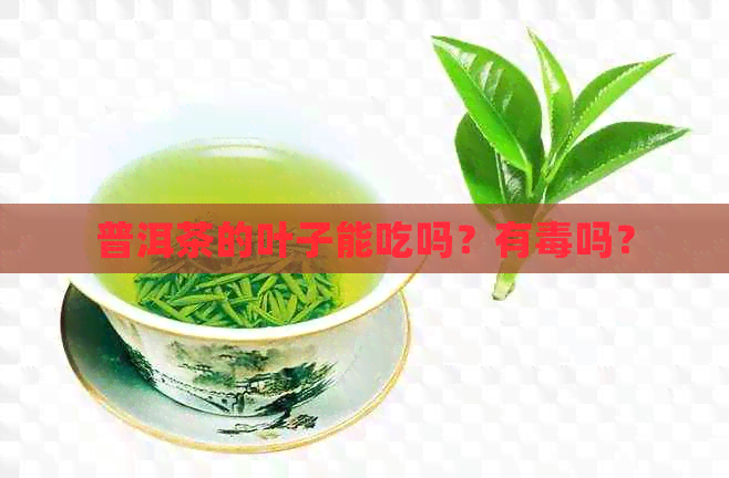 普洱茶的叶子能吃吗？有吗？