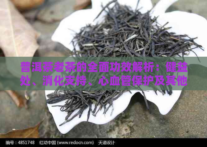 普洱茶老茶的全面功效解析：健益处、消化支持、心血管保护及其他