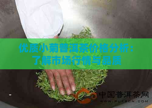 优质小菊普洱茶价格分析：了解市场行情与品质