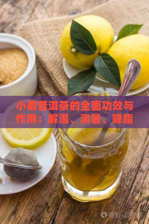 小菊普洱茶的全面功效与作用：解渴、消暑、降脂、提神还养颜！