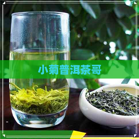 小菊普洱茶哥