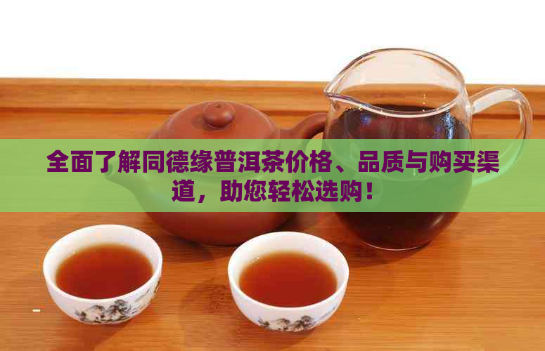 全面了解同德缘普洱茶价格、品质与购买渠道，助您轻松选购！