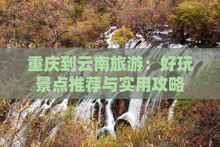 重庆到云南旅游：好玩景点推荐与实用攻略