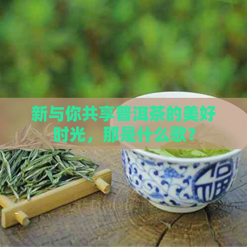 新与你共享普洱茶的美好时光，那是什么歌？