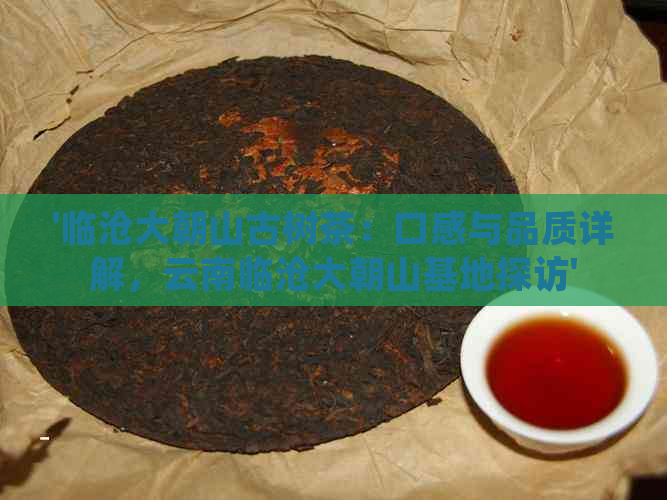 '临沧大朝山古树茶：口感与品质详解，云南临沧大朝山基地探访'