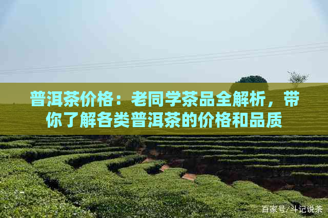 普洱茶价格：老同学茶品全解析，带你了解各类普洱茶的价格和品质