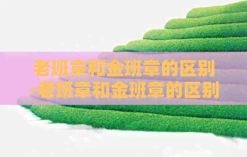 老班章和金班章的区别-老班章和金班章的区别是什么