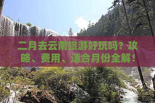 二月去云南旅游好玩吗？攻略、费用、适合月份全解！