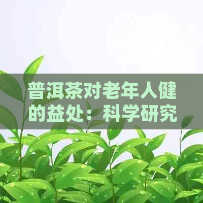 普洱茶对老年人健的益处：科学研究揭示的惊人事实