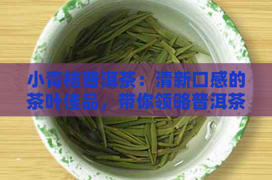 小青桔普洱茶：清新口感的茶叶佳品，带你领略普洱茶的魅力