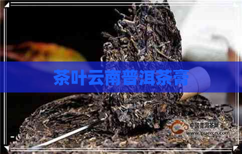 茶叶云南普洱茶膏