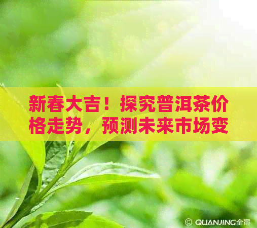 新春大吉！探究普洱茶价格走势，预测未来市场变化