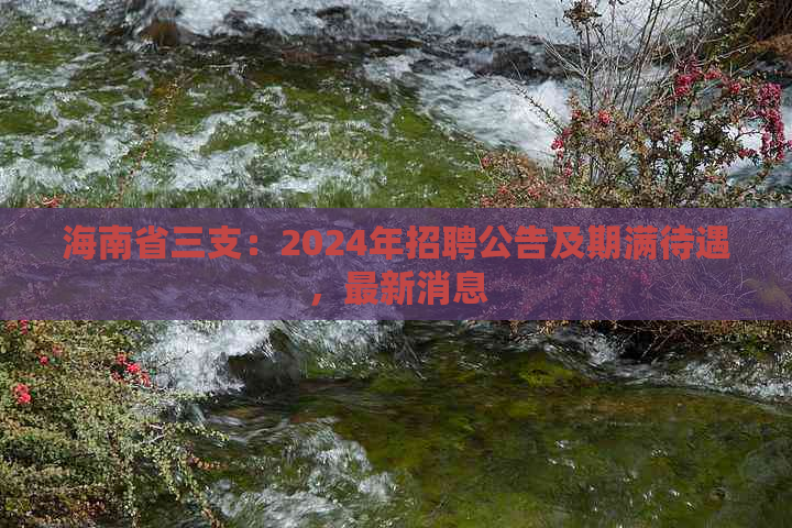 海南省三支：2024年招聘公告及期满待遇，最新消息