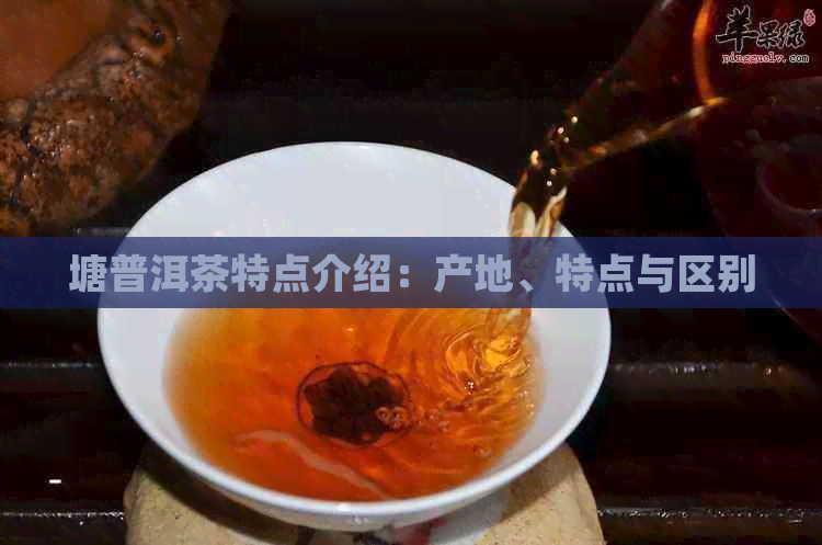 塘普洱茶特点介绍：产地、特点与区别