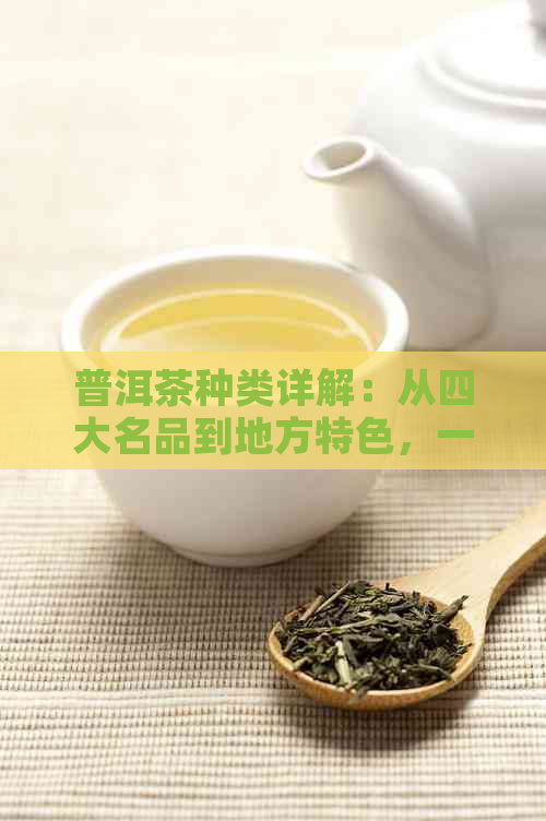 普洱茶种类详解：从四大名品到地方特色，一文了解所有普洱茶分类及其特点