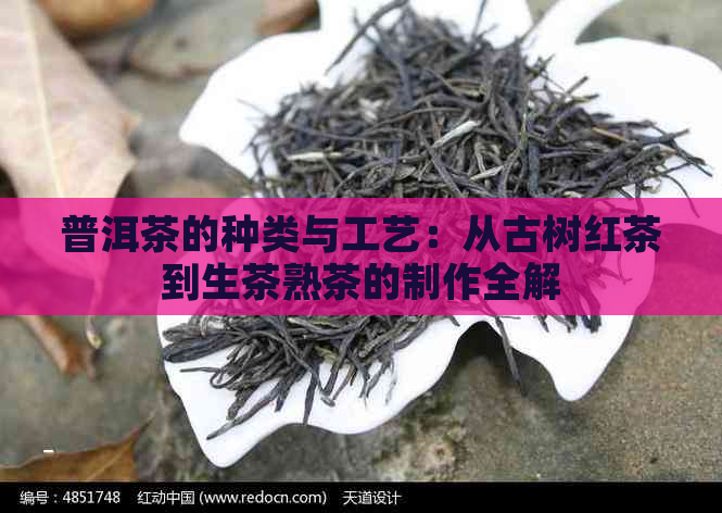 普洱茶的种类与工艺：从古树红茶到生茶熟茶的制作全解