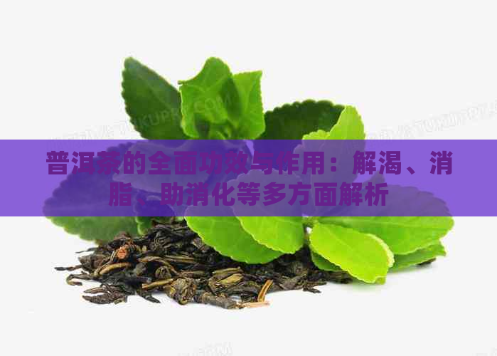 普洱茶的全面功效与作用：解渴、消脂、助消化等多方面解析