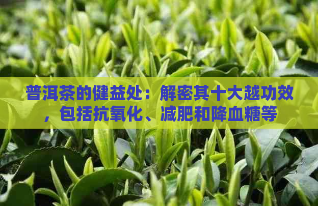 普洱茶的健益处：解密其十大越功效，包括抗氧化、减肥和降血糖等