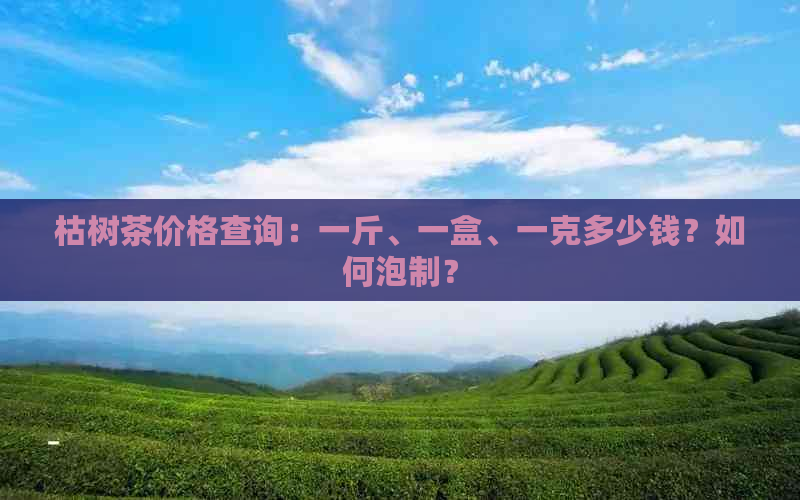 枯树茶价格查询：一斤、一盒、一克多少钱？如何泡制？