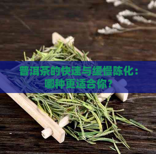 普洱茶的快速与缓慢陈化：哪种更适合你？