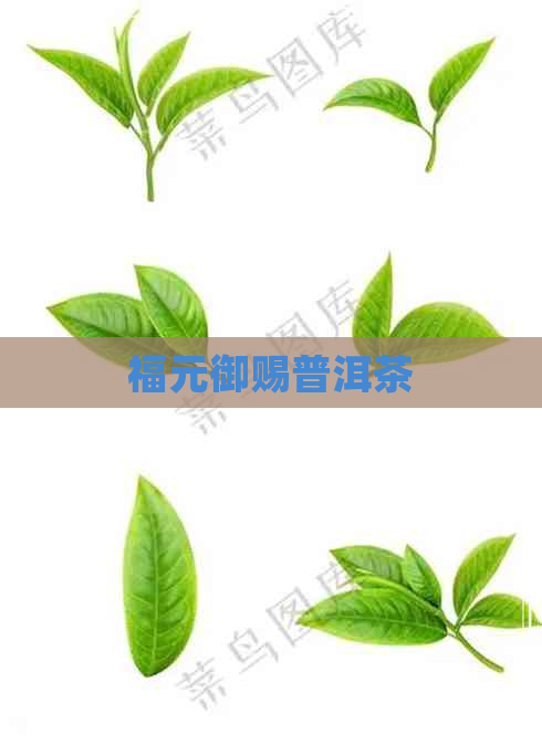 福元御赐普洱茶