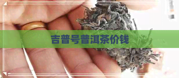 吉普号普洱茶价钱