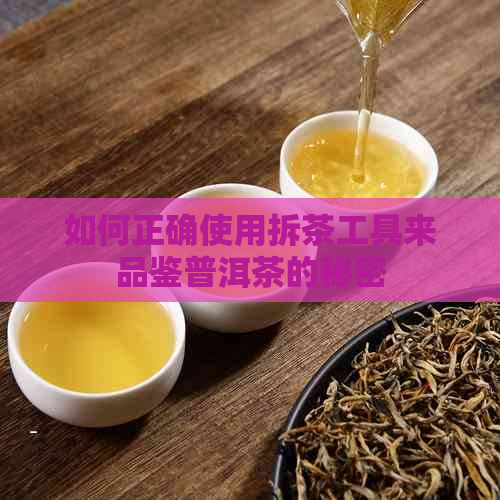 如何正确使用拆茶工具来品鉴普洱茶的秘密