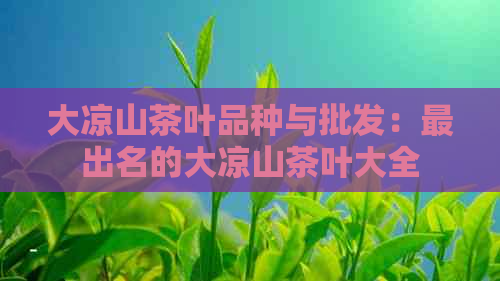 大凉山茶叶品种与批发：最出名的大凉山茶叶大全