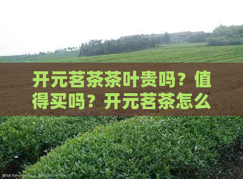 开元茗茶茶叶贵吗？值得买吗？开元茗茶怎么样？园店地址是？