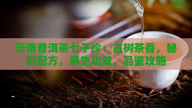 云南普洱茶七子珍：古树茶香，秘制配方，养生功效，品鉴攻略