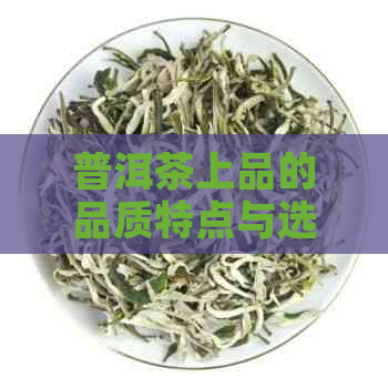 普洱茶上品的品质特点与选购方法：一篇文章全面解答您的疑问