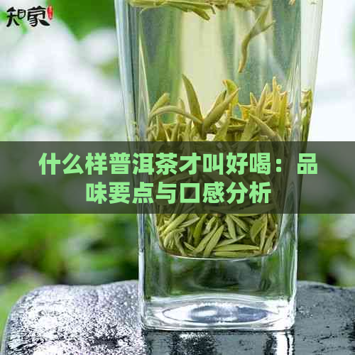 什么样普洱茶才叫好喝：品味要点与口感分析