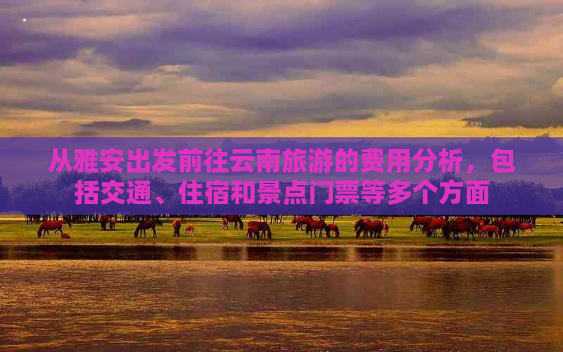 从雅安出发前往云南旅游的费用分析，包括交通、住宿和景点门票等多个方面